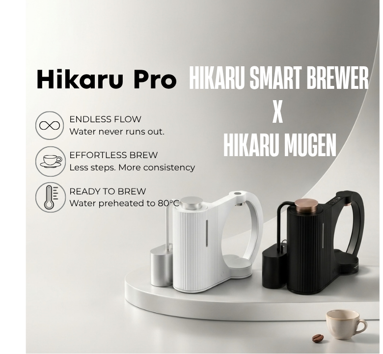 Hikaru Pro